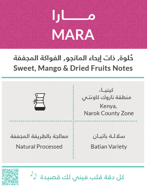 مارا