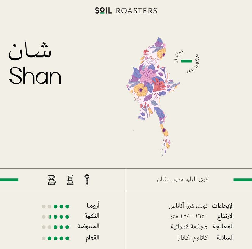 شان – Almahacoffee
