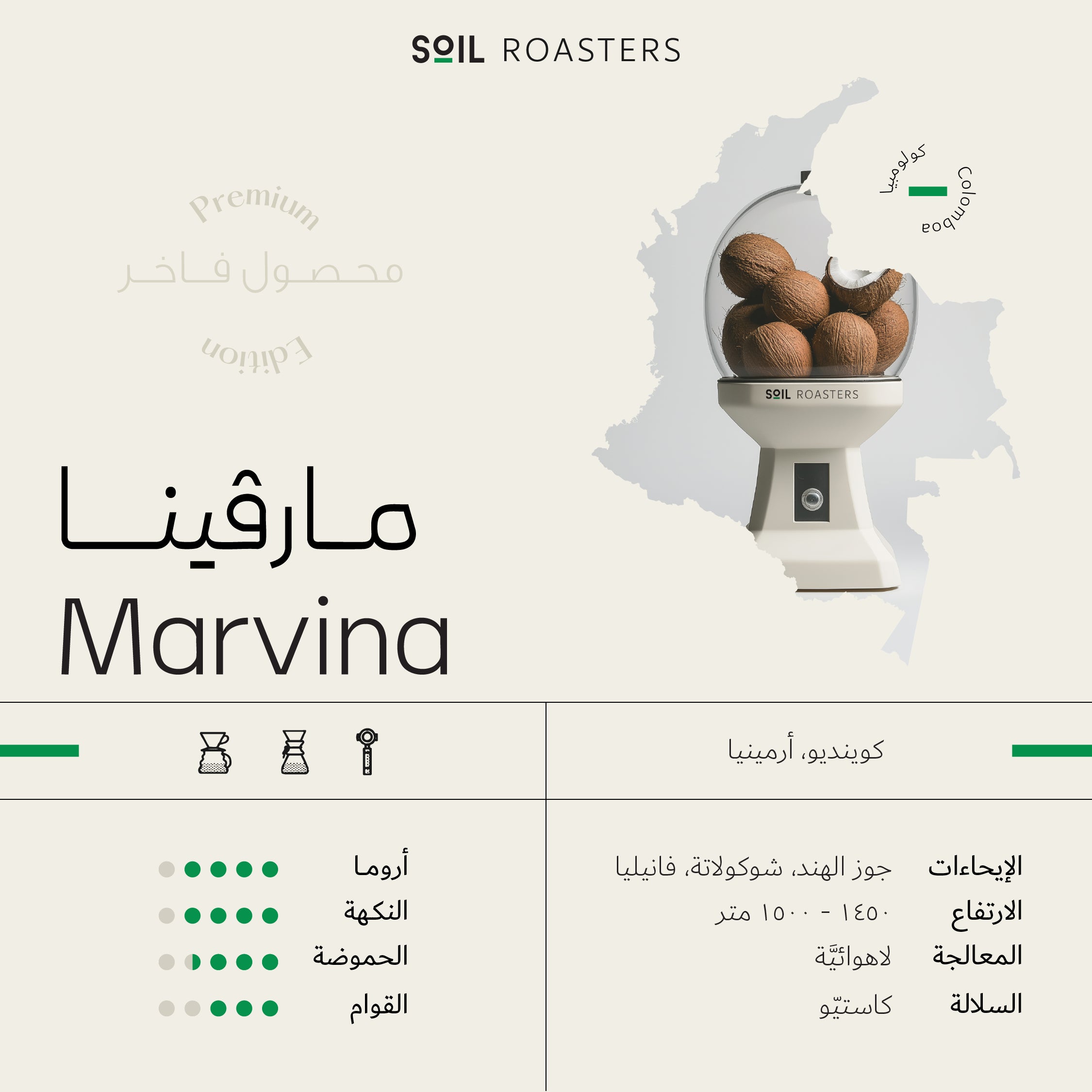 Marvina | مارفينا