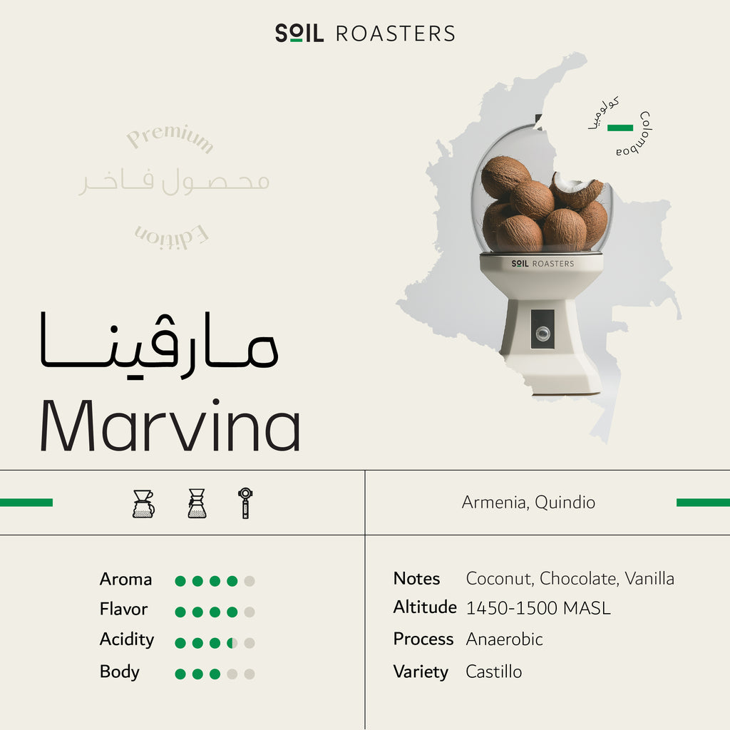 Marvina | مارفينا
